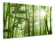 Canvas print Nibelungen Forest