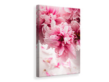 Load image into Gallery viewer, Canvas print Peonies

