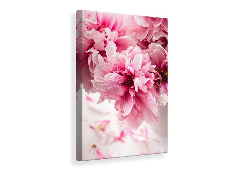 Canvas print Peonies