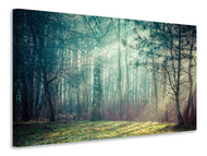 Canvas print Pinewood