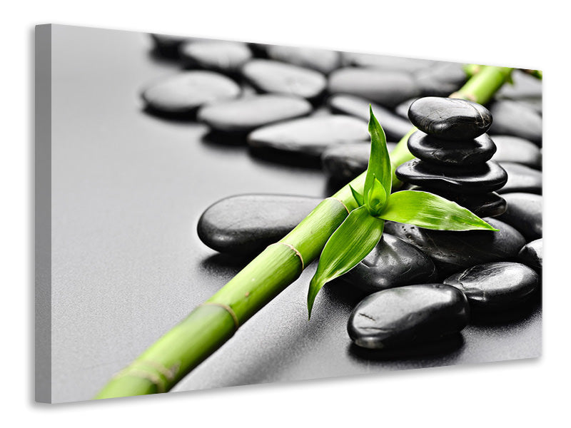 Canvas print Polished Stones