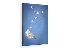 Load image into Gallery viewer, Canvas print Dandelion XL
