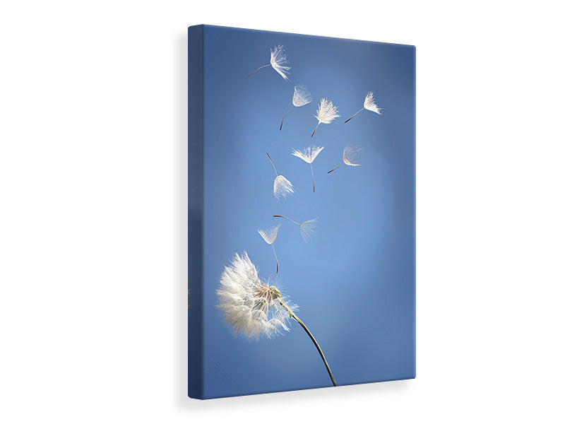 Canvas print Dandelion XL