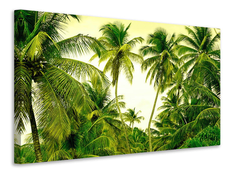 Canvas print Mural Ready for a vacation