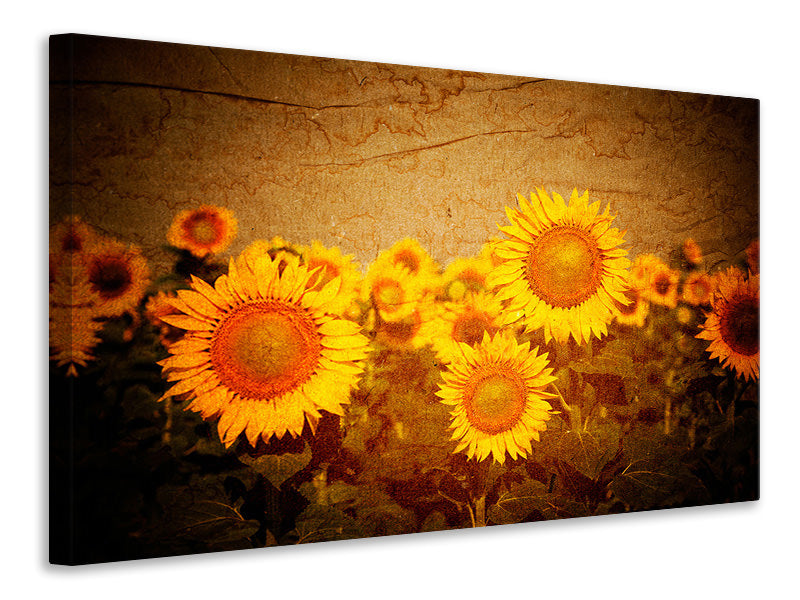 Canvas print Retro Sunflower