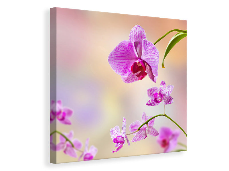 Canvas print Romantic Orchids