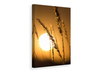 Canvas print Romantic Sunset