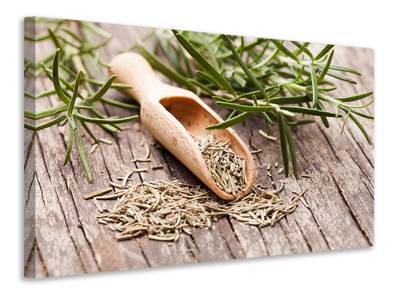 Canvas print Rosemary