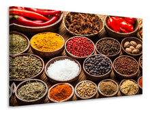Load image into Gallery viewer, Canvas print Hot Spices
