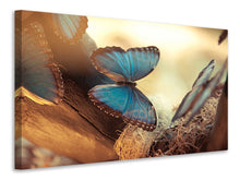 Load image into Gallery viewer, Canvas print Butterflies
