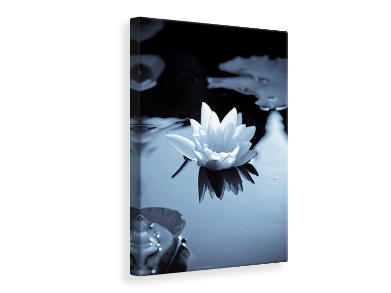 Canvas print Black And White Photograph Waterlily