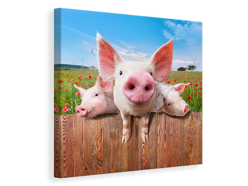 Canvas print Pig In Luck