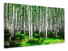 Load image into Gallery viewer, Canvas print Summerly Birch Forest
