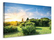 Load image into Gallery viewer, Canvas print Sunrise In The Park
