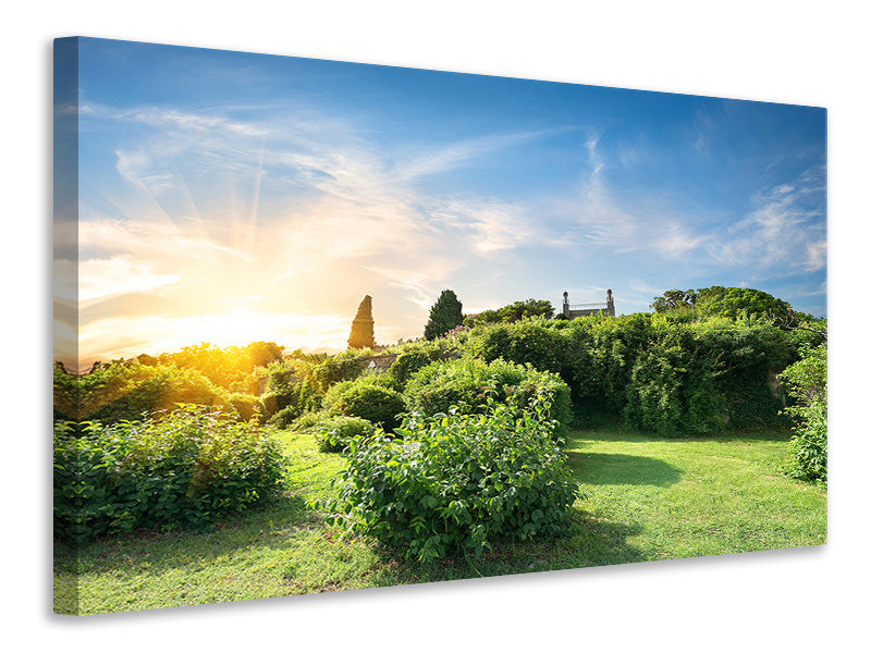 Canvas print Sunrise In The Park