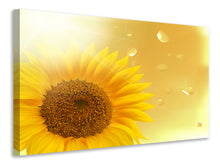 Load image into Gallery viewer, Canvas print Sunflower in Morning dew
