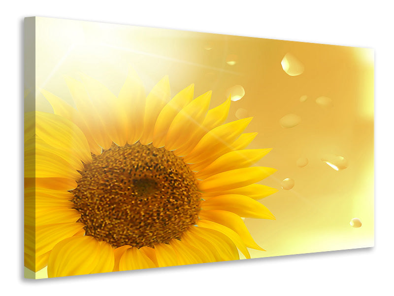Canvas print Sunflower in Morning dew