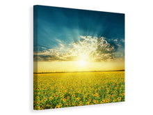 Load image into Gallery viewer, Canvas print Sunflowers In The Evening Sun
