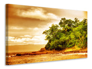 Canvas print Sunset At The End Of The Forest