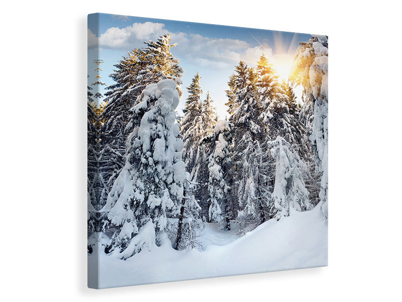 Canvas print Fir In Snow