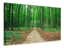 Load image into Gallery viewer, Canvas print Pine Forests
