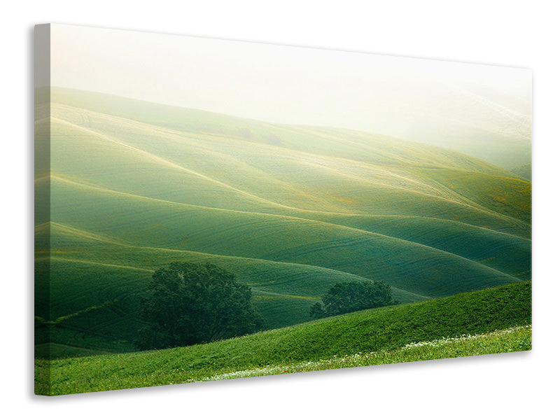 Canvas print Tuscany