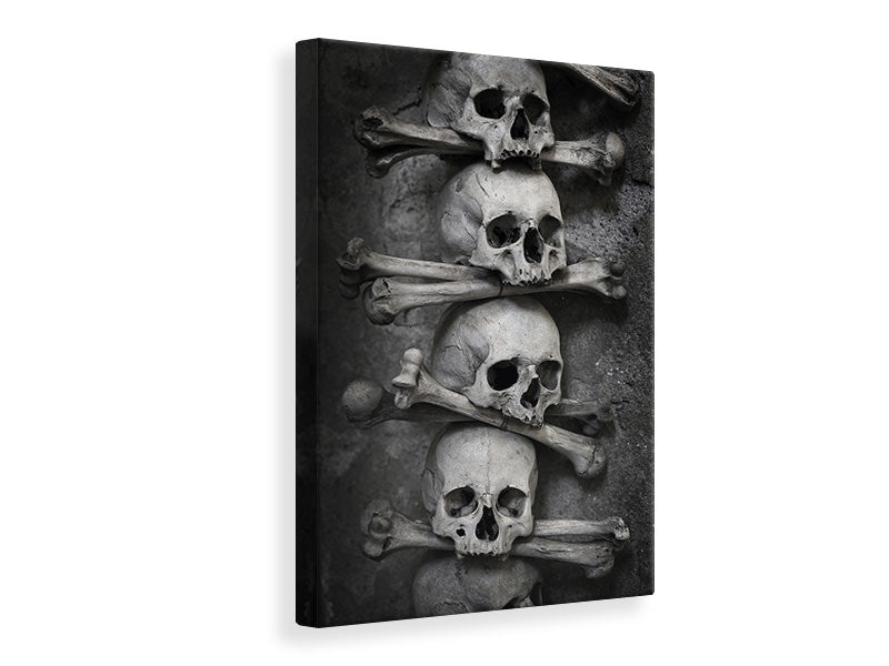 Canvas print Skulls