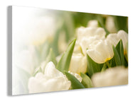 Canvas print Tulips Perspective