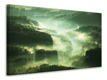 Load image into Gallery viewer, Canvas print Over The Woods
