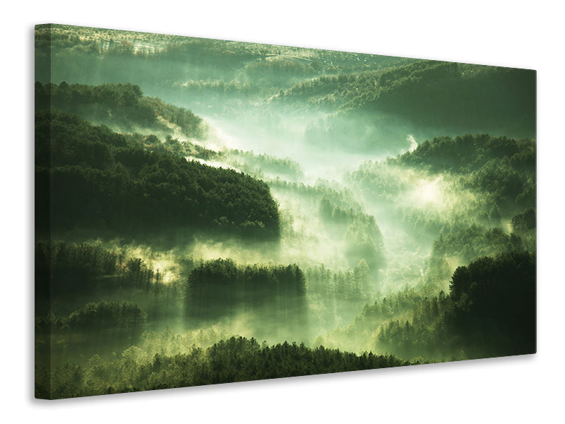 Canvas print Over The Woods