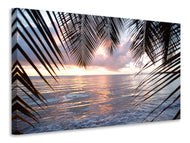 Canvas print Under Palm Leaves