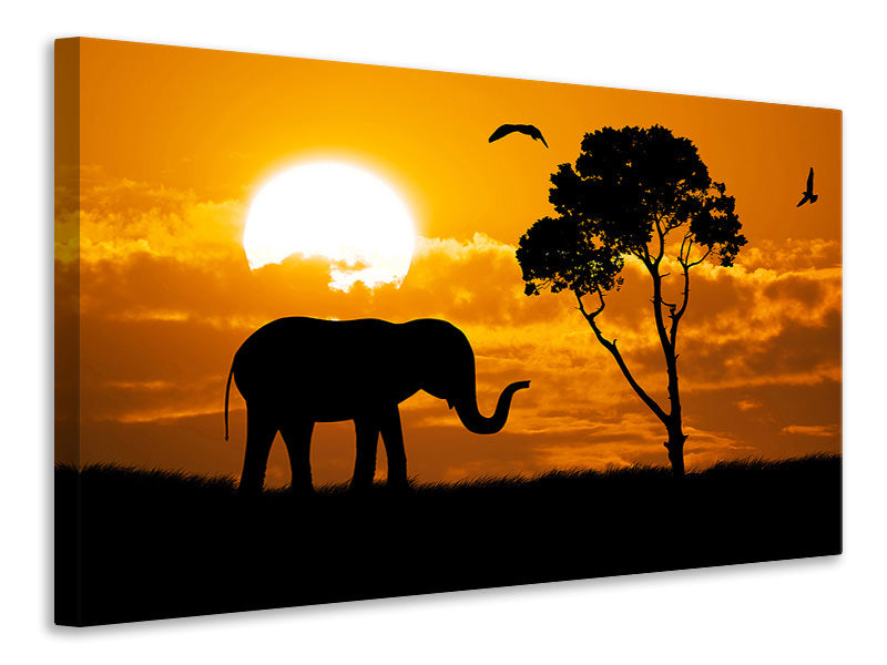 Canvas print Dreamy Africa