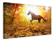 Canvas print Whole Blood In Autumn Forest