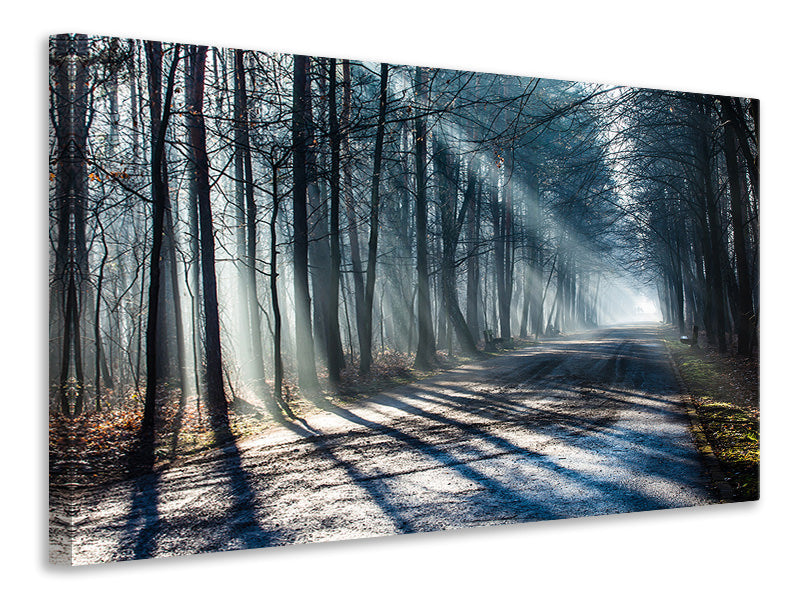 Canvas print Forest In The Light Beam