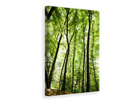 Canvas print Forest
