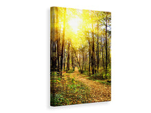 Load image into Gallery viewer, Canvas print Woodland Walk In The Autumn Sun
