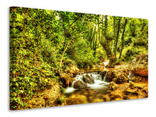 Load image into Gallery viewer, Canvas print Waterfall In The Forest
