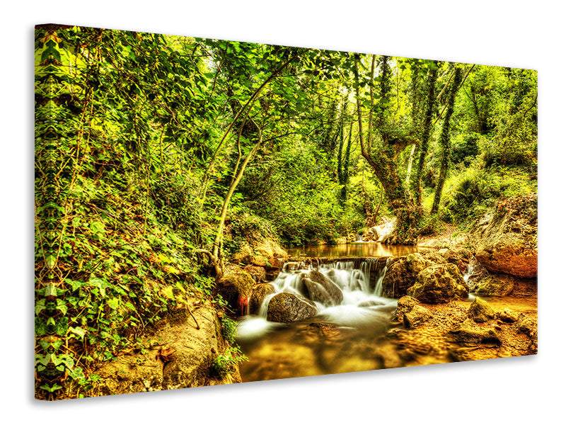 Canvas print Waterfall In The Forest
