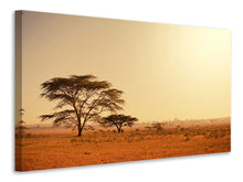 Load image into Gallery viewer, Canvas print Pastures In Kenya
