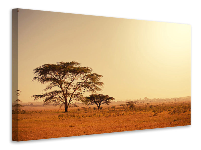 Canvas print Pastures In Kenya