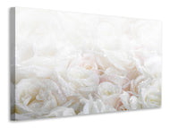 Canvas print White Roses In The Morning Dew
