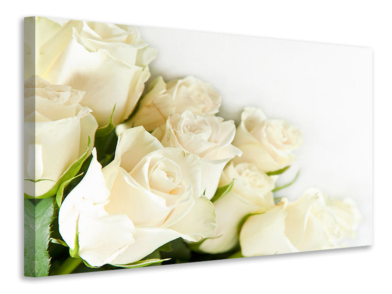 Canvas print White Roses