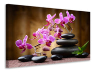 Canvas print Wellness Stones