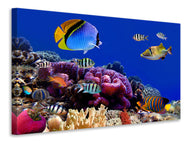 Canvas print World Of Fish