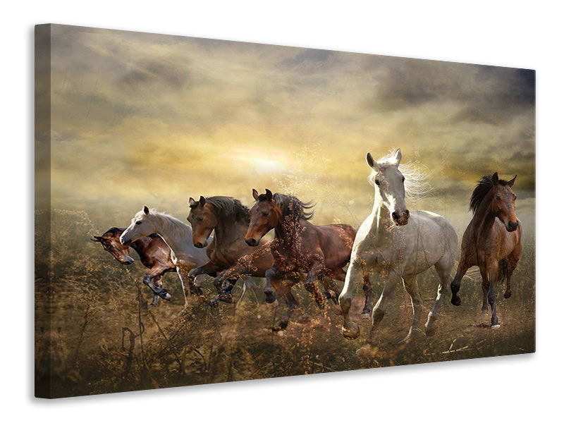 Canvas print Wild Wild Horses