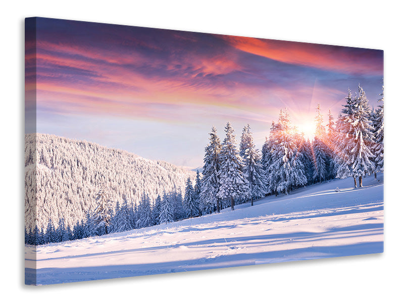Canvas print Winter Landscape