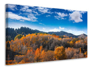 Canvas print Clouds Gather