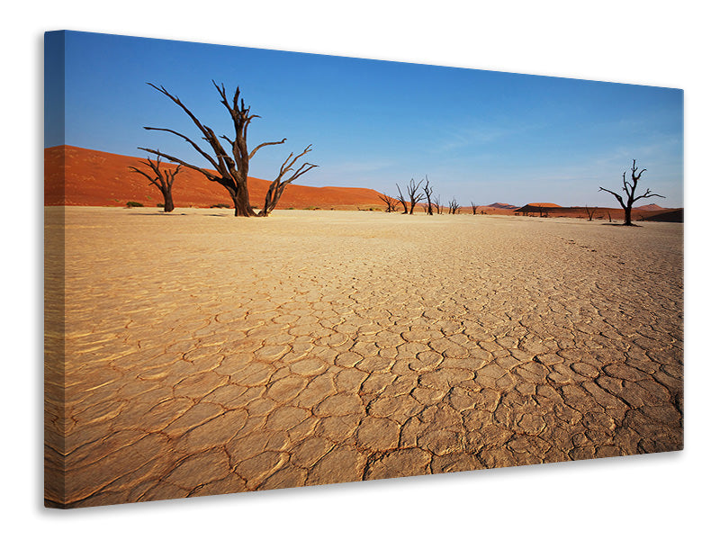 Canvas print Desert
