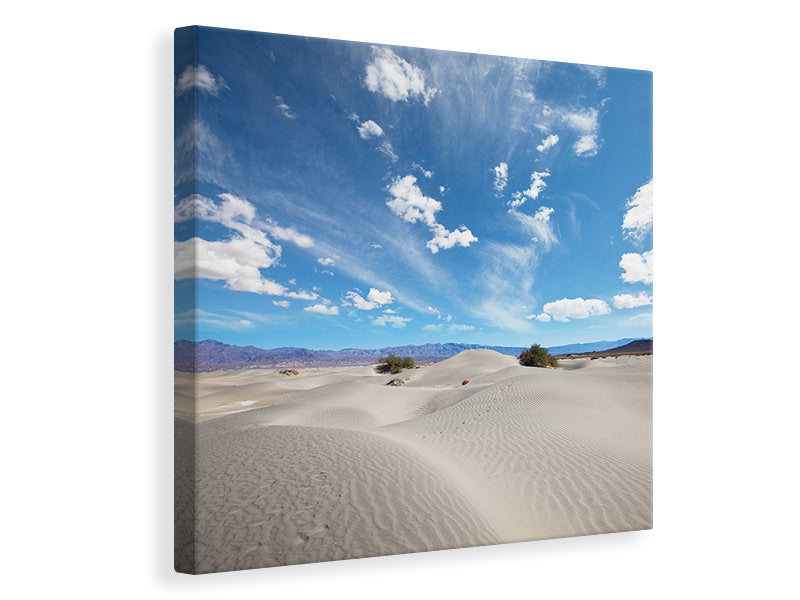 Canvas print Desert Landscape