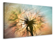 Canvas print XXL Dandelion